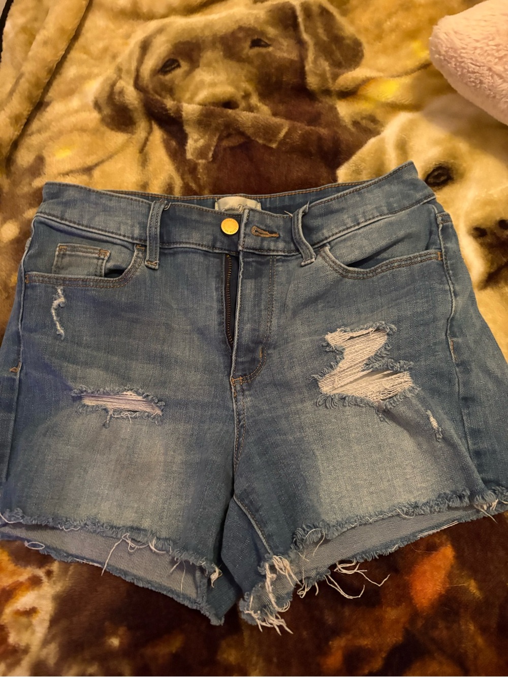 Universal Thread Light Blue Distressed Denim Shorts